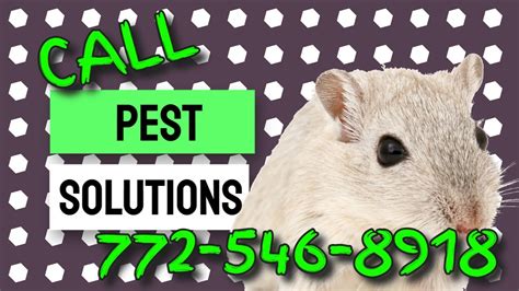 mole pest control near me open now